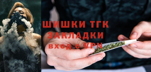 сатива Аркадак