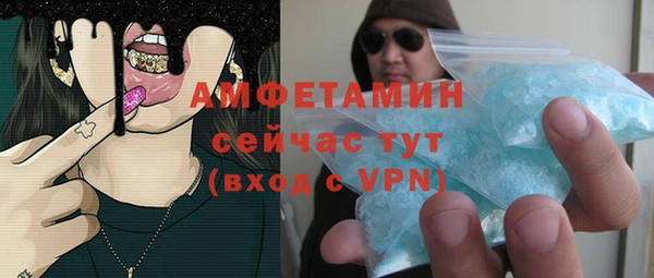 сатива Аркадак