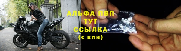 сатива Аркадак