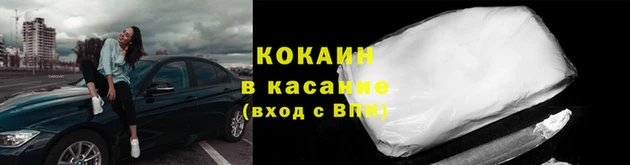 сатива Аркадак