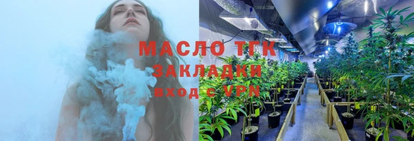 сатива Аркадак