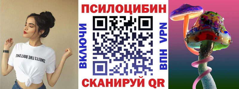 блэк спрут как войти  Острогожск  Галлюциногенные грибы Psilocybine cubensis 